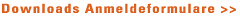 downloads ausbildung personal hair coach